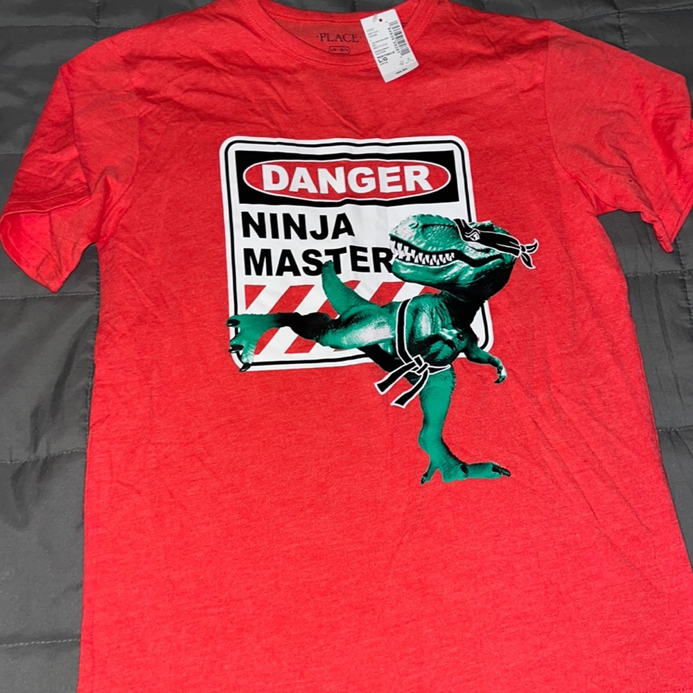 Set of 2 Dinosaur shirts NWT